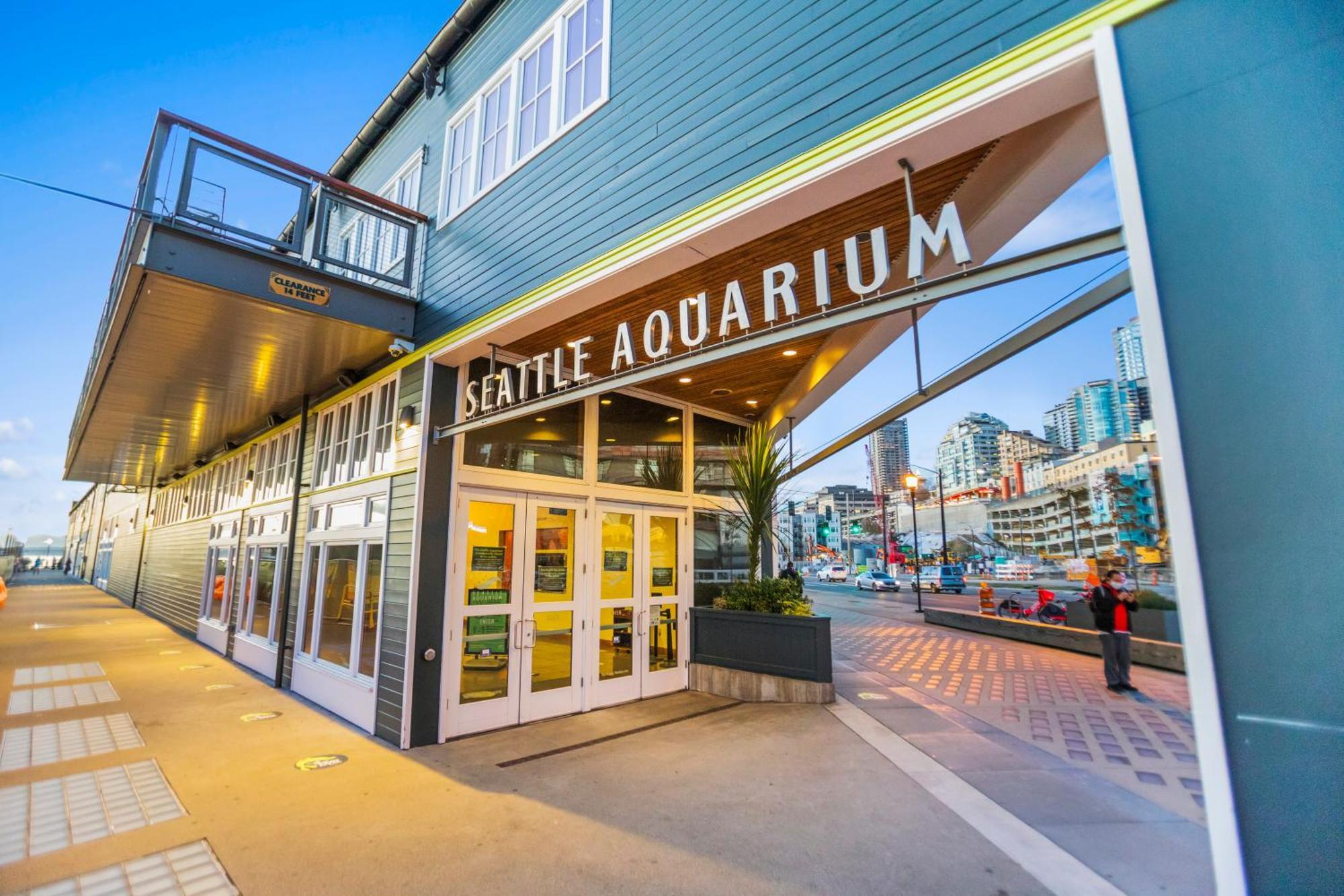 Belltown Perch, Explore Like A Local 99 Walkscore Seattle Exterior photo